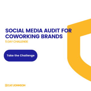 Social Audit 5 Day Challenge | Cat Johnson Co